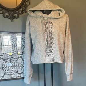 Abercrombie & Fitch Heather Gray Cropped Logo Hoodie